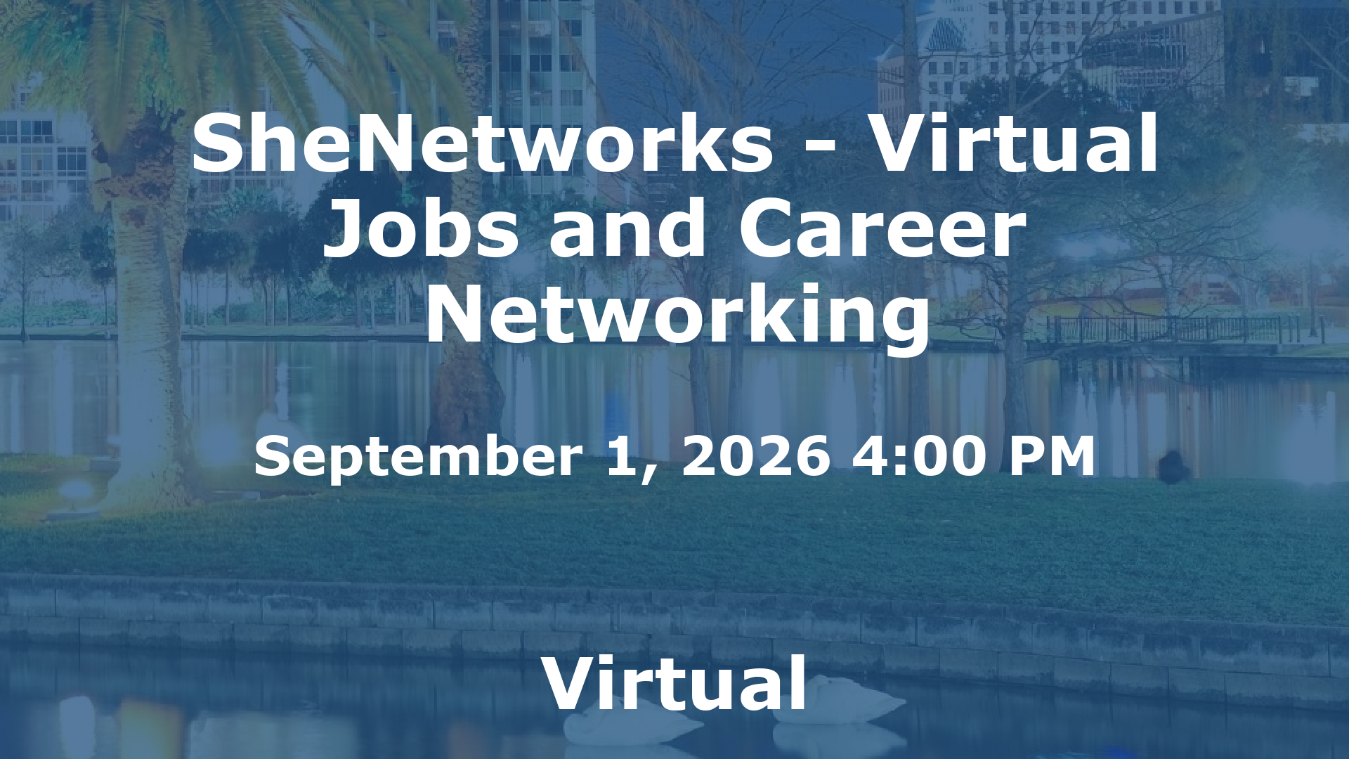 SheNetworks - Virtual Jobs and Career Networking event image